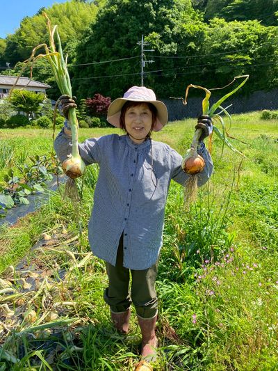 神奈川県 小田原市 国府津の農業手伝いの求人 | Indeed (インディード)