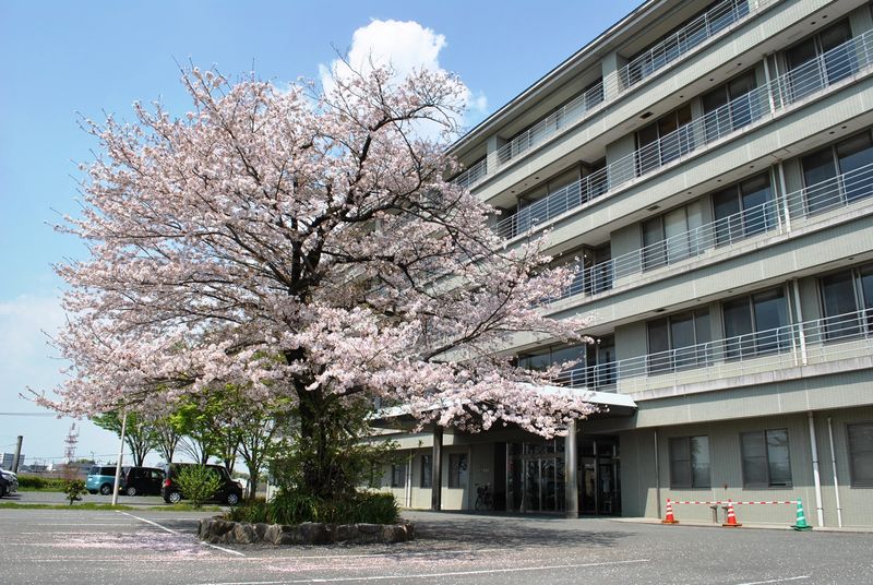 医療法人信和会の求人・転職情報