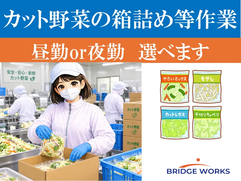 BRIDGE WORKS 株式会社