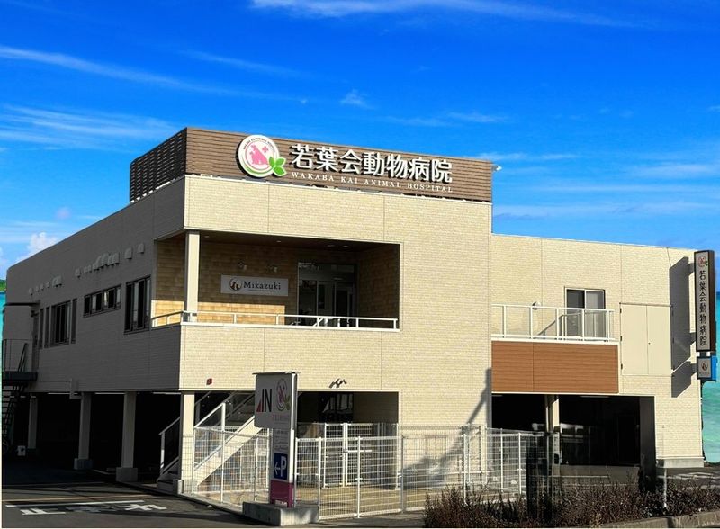 株式会社若葉会の求人・転職情報