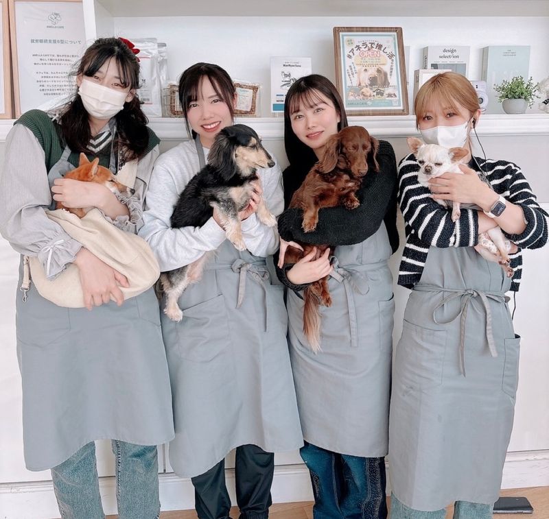 株式会社ANELLA Groupの求人・転職情報