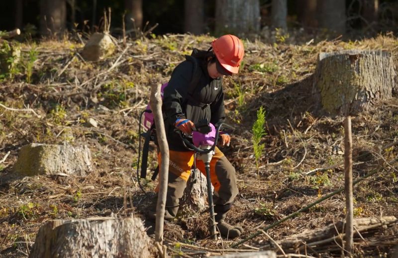 耳川広域森林組合の求人・転職情報
