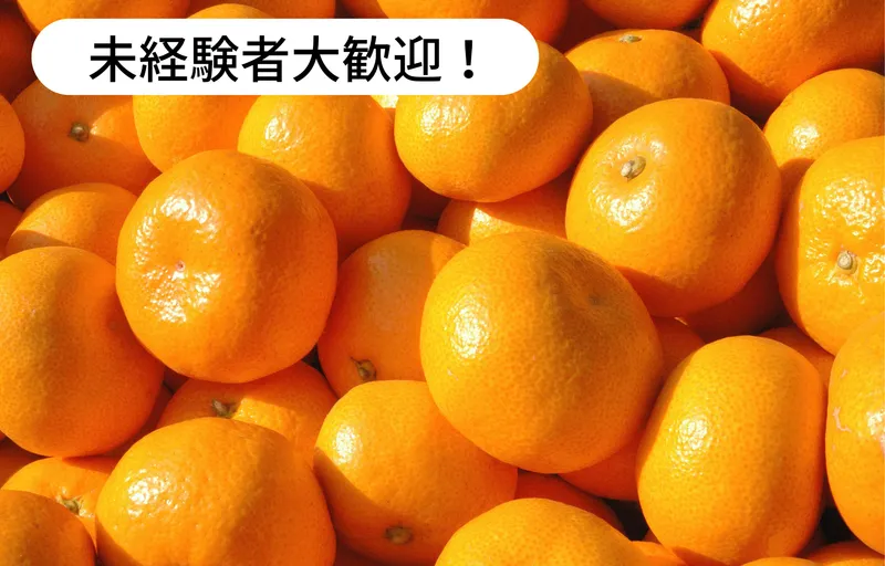 宇都宮農園のアルバイト・バイト求人情報