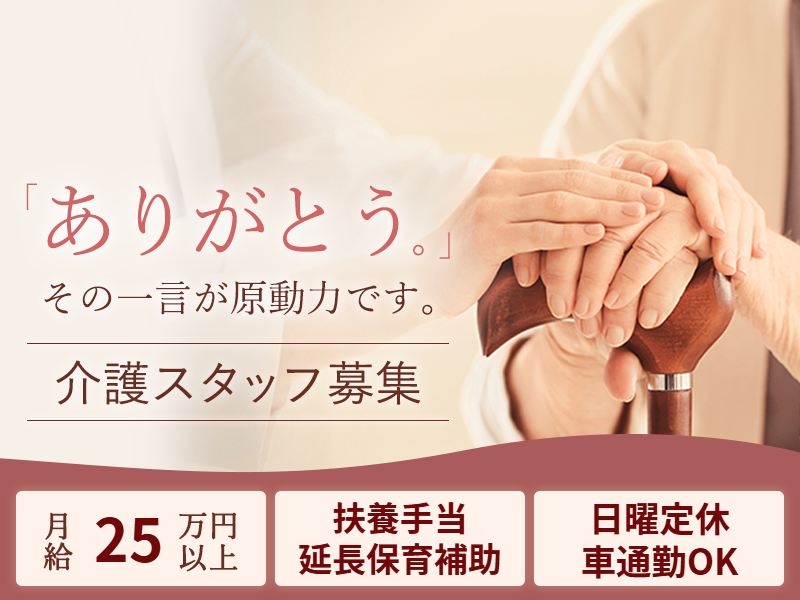 株式会社ビーナスの求人・転職情報