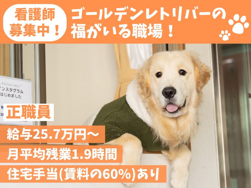 社会福祉法人博光福祉会の求人・転職情報