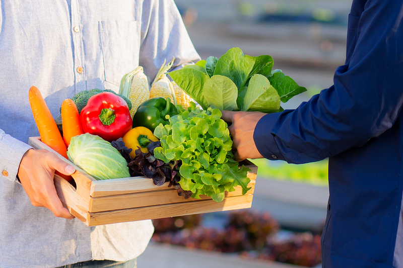 有限会社ラブラブグローバル菊池の求人・転職情報
