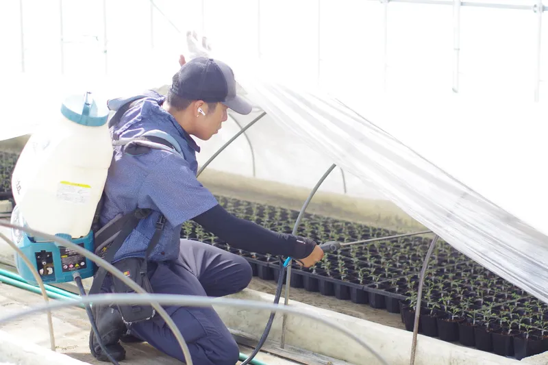 当別当育苗の求人・転職情報