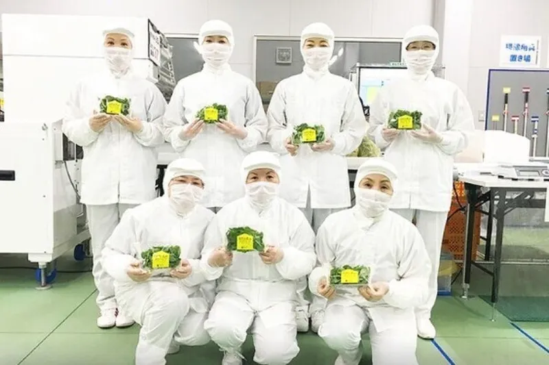 うれしの農園株式会社の求人・転職情報