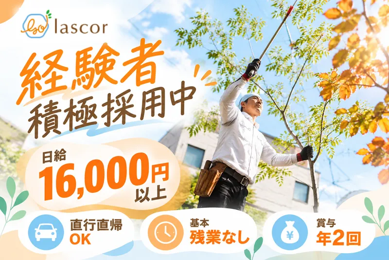 lascorの求人・転職情報