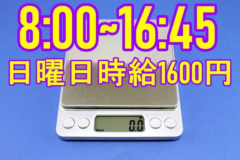 株式会社メッセの派遣求人情報