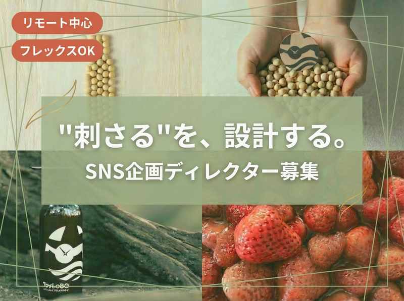 カイゼン・マーケティング株式会社の求人・転職情報