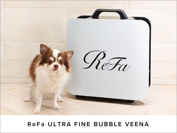 Petsalon Cache-Cache(ペットサロンカシュカシュ)の求人・転職情報