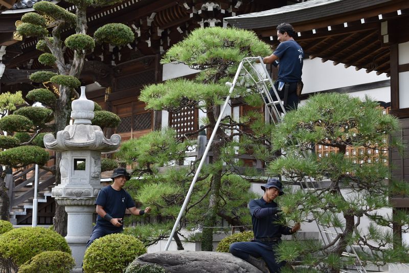株式会社小晴の求人・転職情報