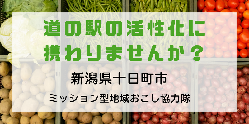 一般社団法人にいがた圏の求人・転職情報