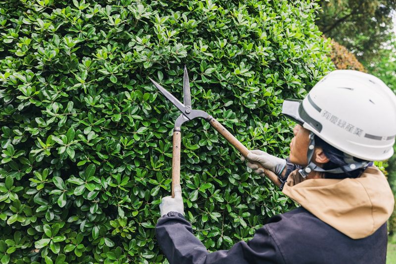 有限会社慶緑産業の求人・転職情報