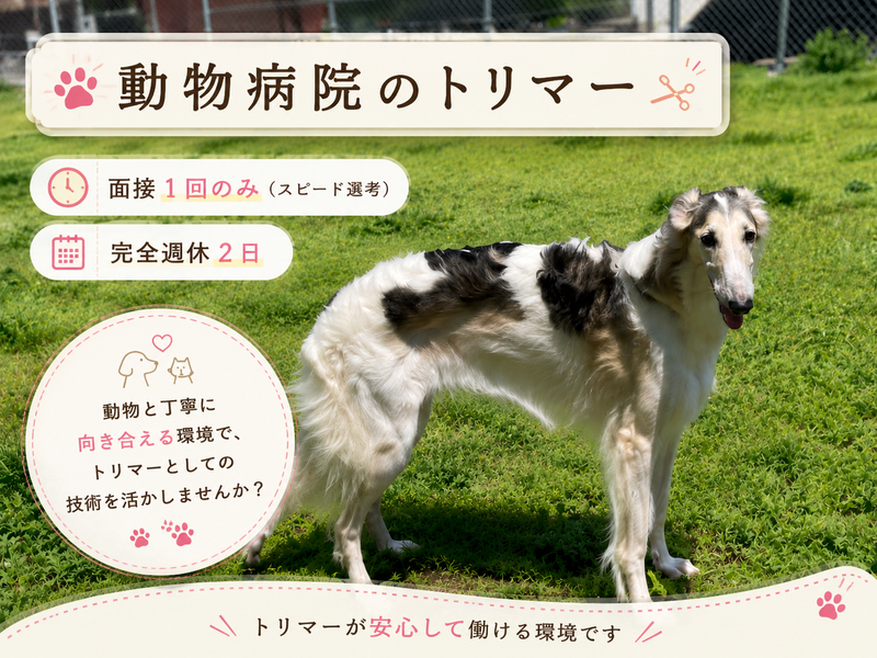 医生ケ丘動物病院の求人・転職情報