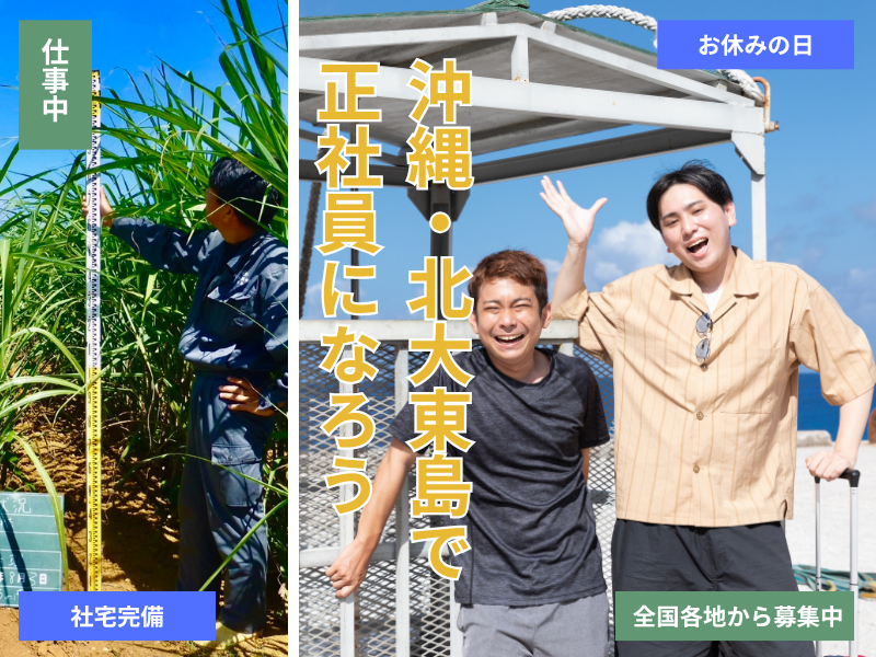 北大東製糖株式会社の求人・転職情報