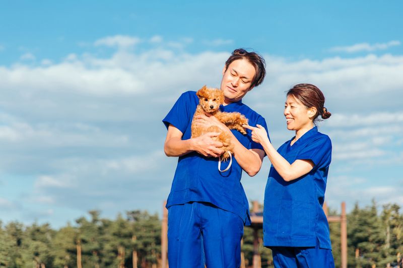 株式会社日本動物高度医療センターの求人・転職情報