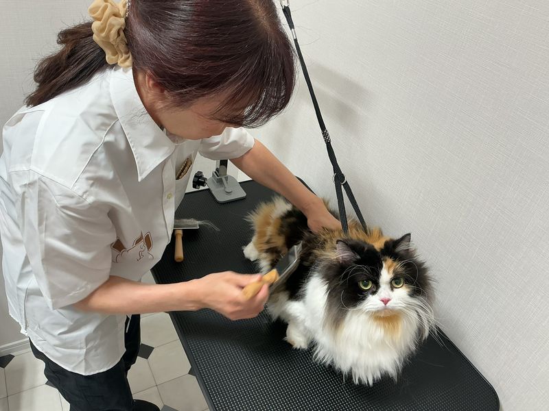 TAKMedical 株式会社-0003の求人・転職情報