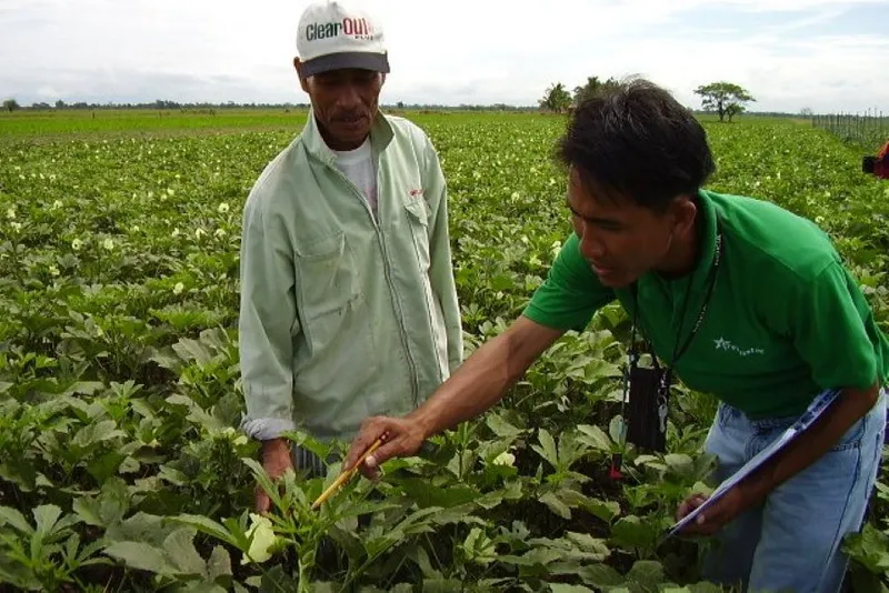 GREENSTAR PRODUCE PHILS., INC.の求人・転職情報