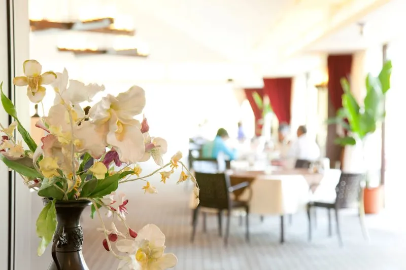 株式会社レイメイ SAKURA SKY PALACEの求人・転職情報