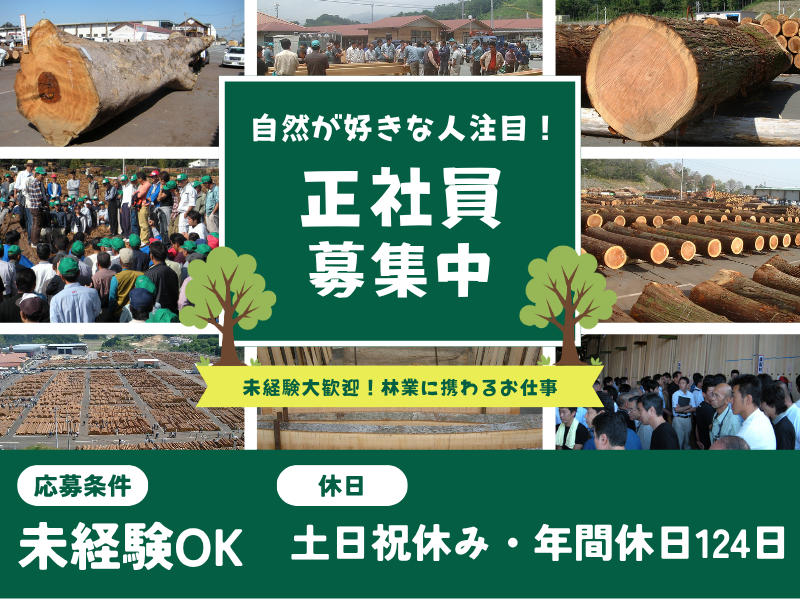 ウッドピア市売協同組合の求人・転職情報