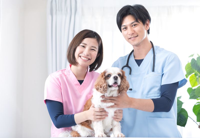 日本株式会社　なぎさホーム薬局枚方の求人・転職情報