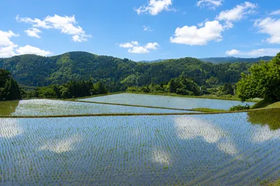 富山県 氷見市 大浦の新規事業の求人 | Indeed (インディード)