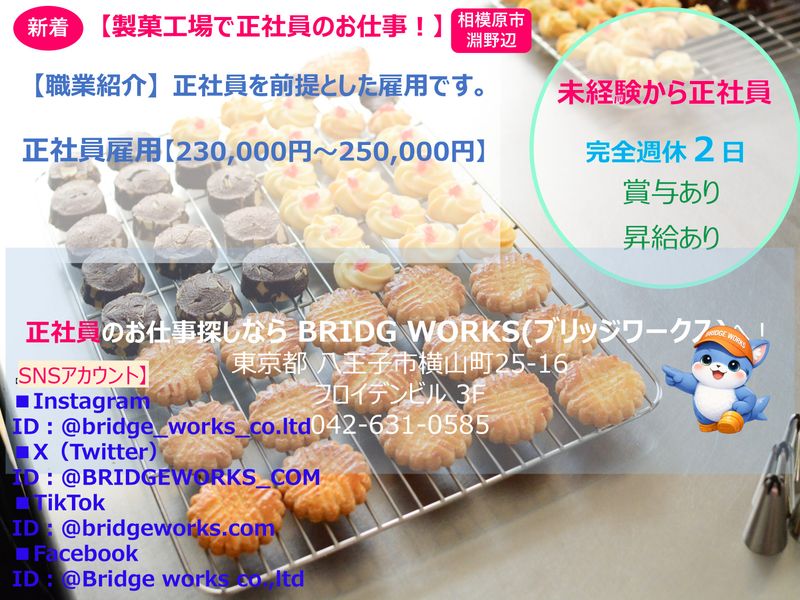 BRIDGE WORKS(ブリッジワークス)株式会社の求人・転職情報