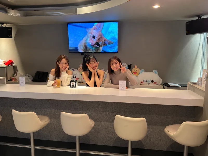 Girl's Bar kittyのアルバイト・バイト求人情報