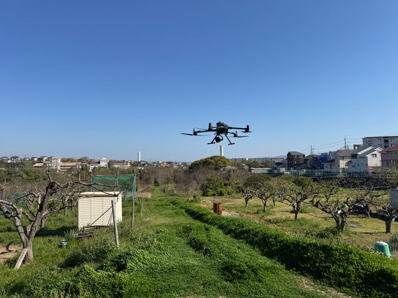 司法書士藤原栄美事務所の求人・転職情報