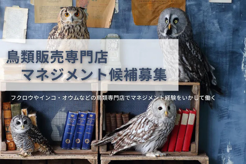 株式会社鳥カフェの求人・転職情報