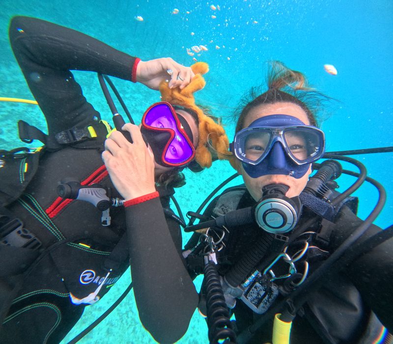 株式会社ＧＩサービスの求人・転職情報