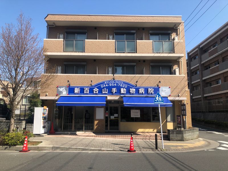 株式会社 WOLVES HANDの求人・転職情報