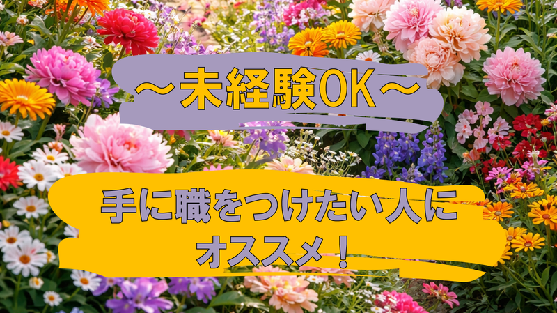 株式会社ベルモニーの求人・転職情報