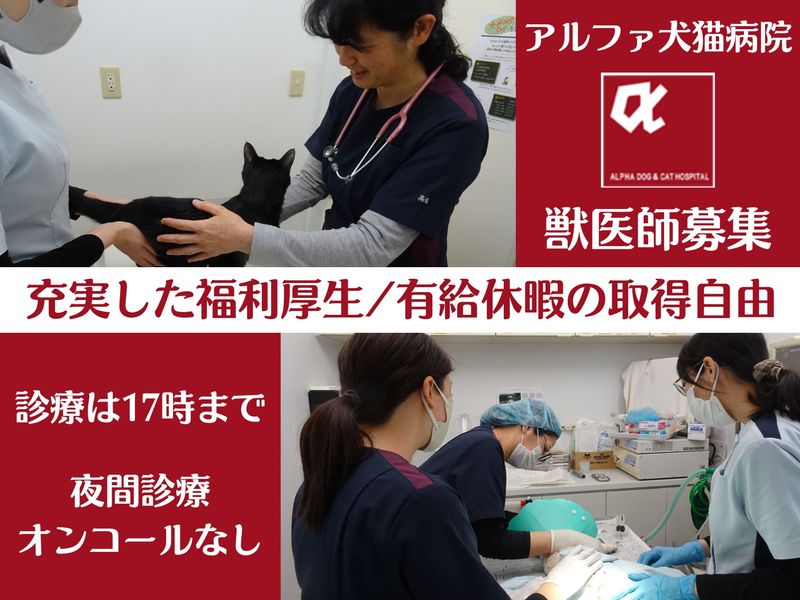 株式会社フェイス１の求人・転職情報
