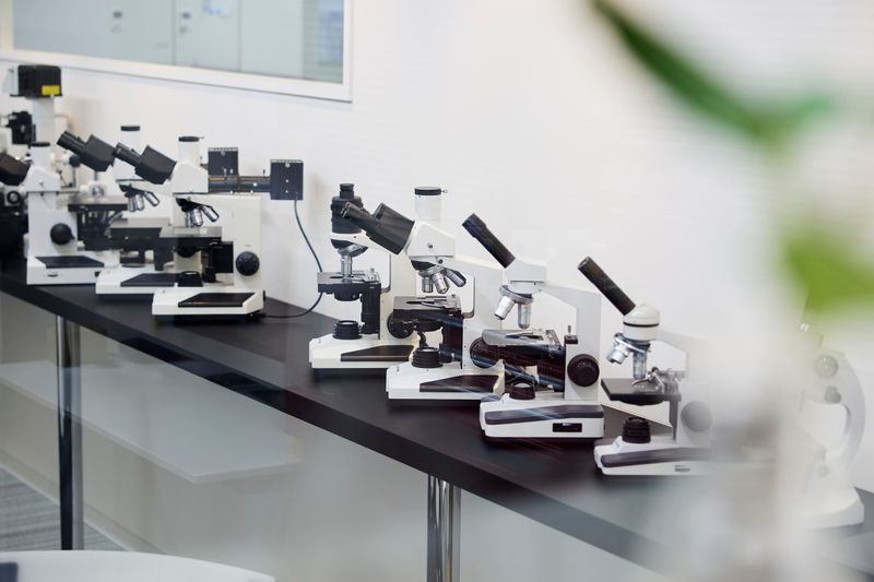 株式会社レイマーの求人・転職情報