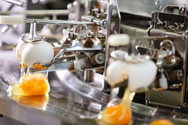 有限会社阪本鶏卵の求人・転職情報