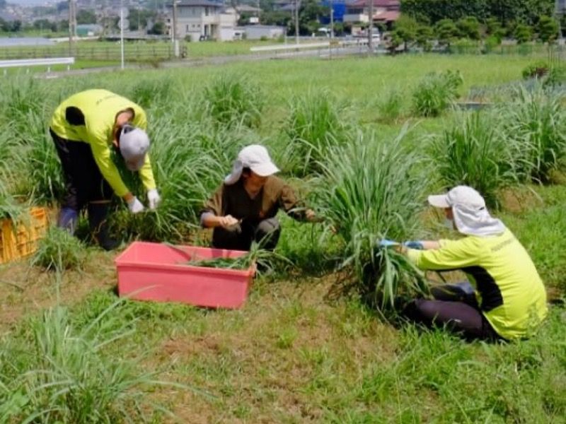 社会福祉法人はぐるまの会の求人・転職情報