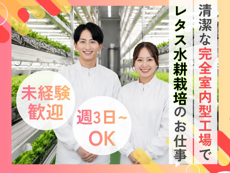 株式会社ベジタブルテックのアルバイト・バイト求人情報