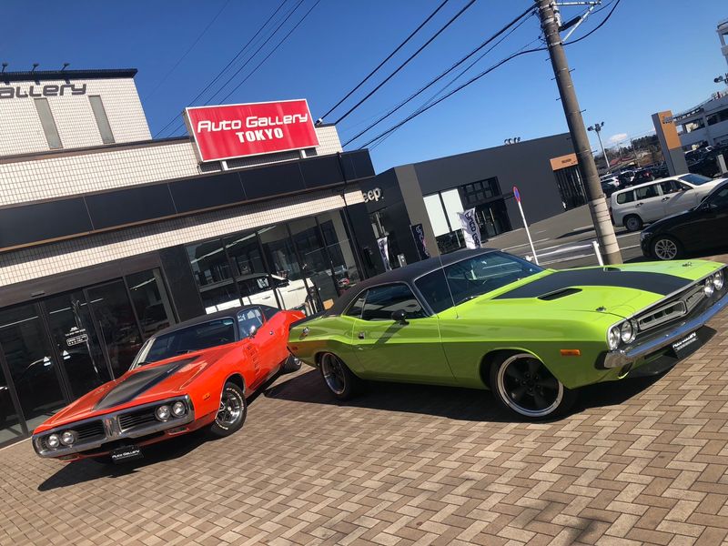 株式会社ＡＧの求人・転職情報