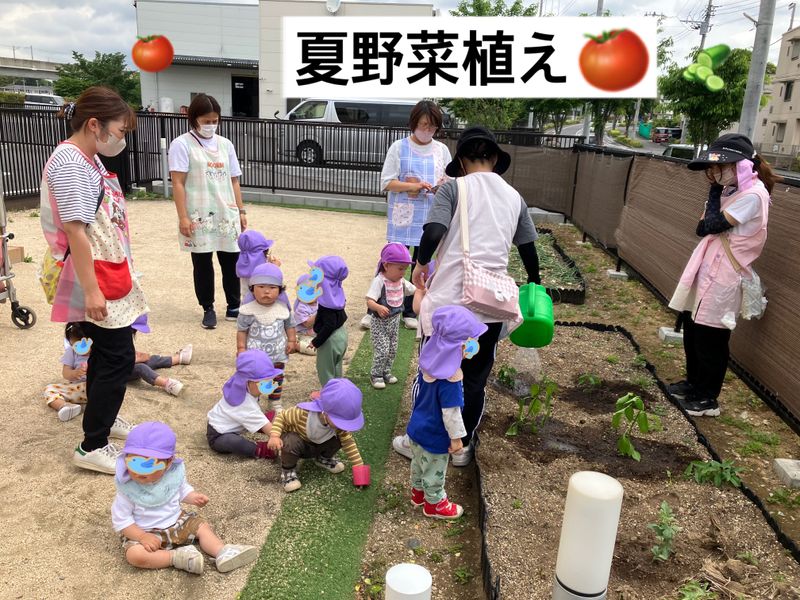 学校法人柏こばと学園の求人・転職情報
