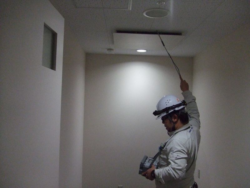 株式会社セイラスティア-0002の求人・転職情報