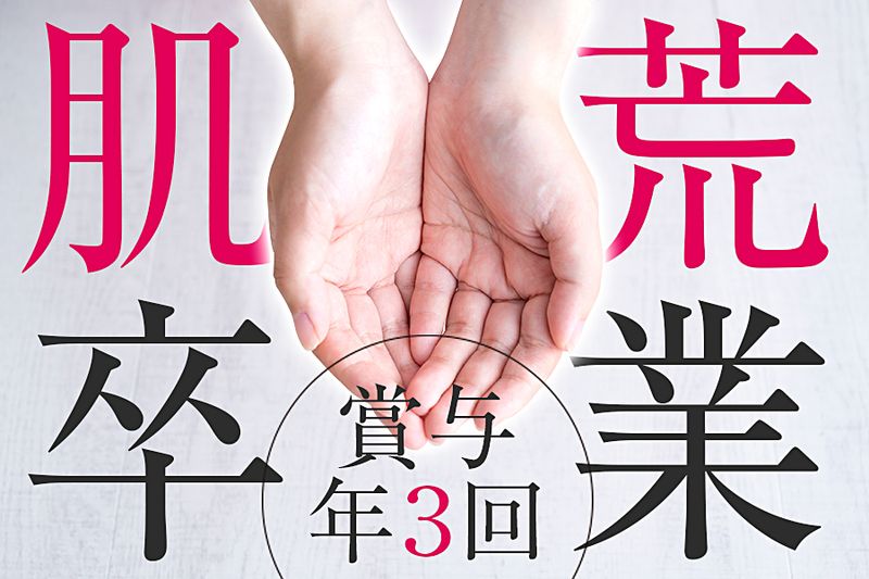 ピアス株式会社の求人・転職情報