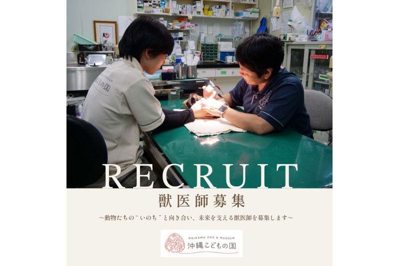 公益財団法人沖縄こどもの国の求人・転職情報