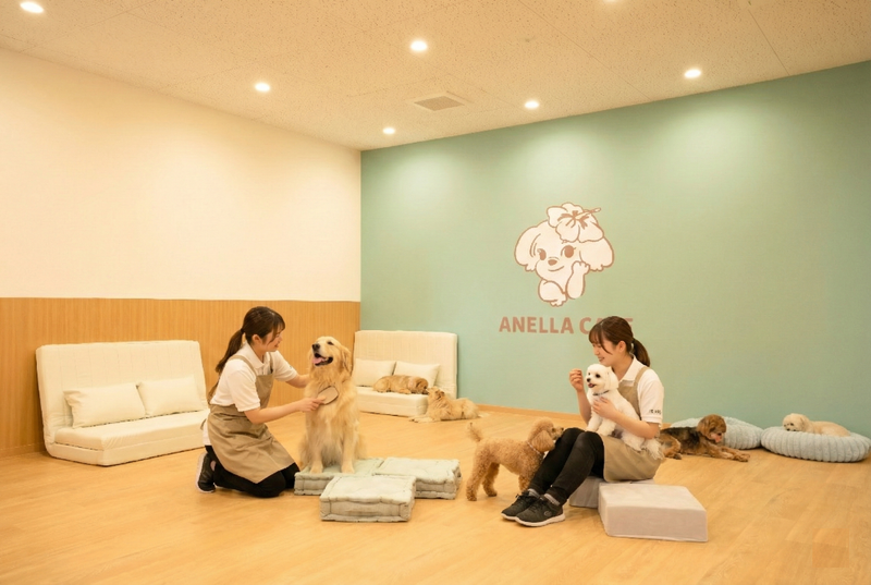 株式会社Ａｍｅｌｏの求人・転職情報