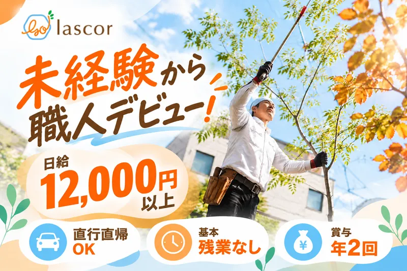 lascorの求人・転職情報