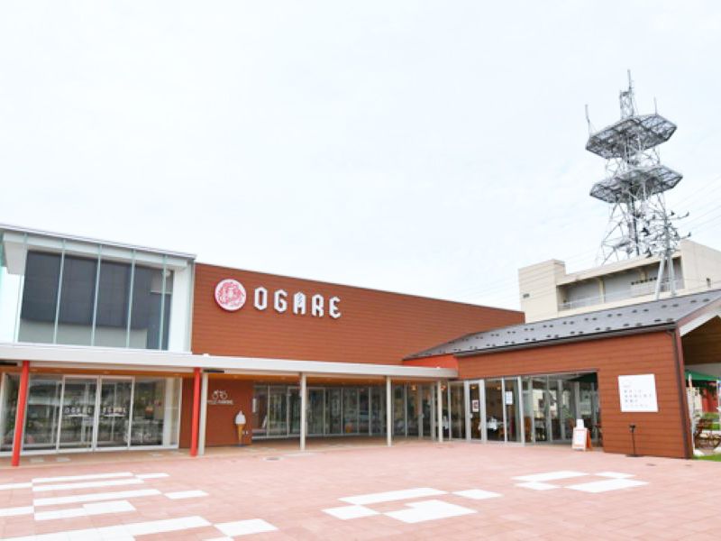 株式会社ドリームリンクの求人・転職情報