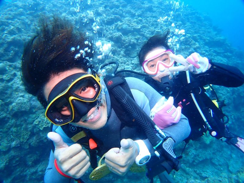 株式会社CREAの求人・転職情報