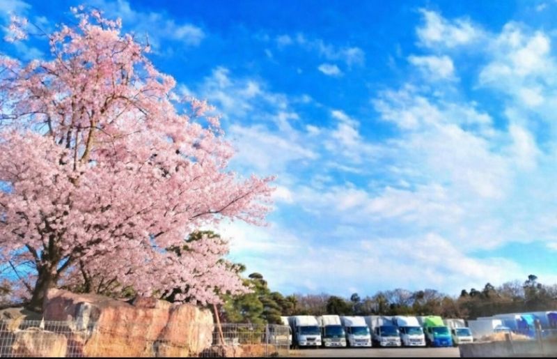 有限会社　安 　達の求人・転職情報